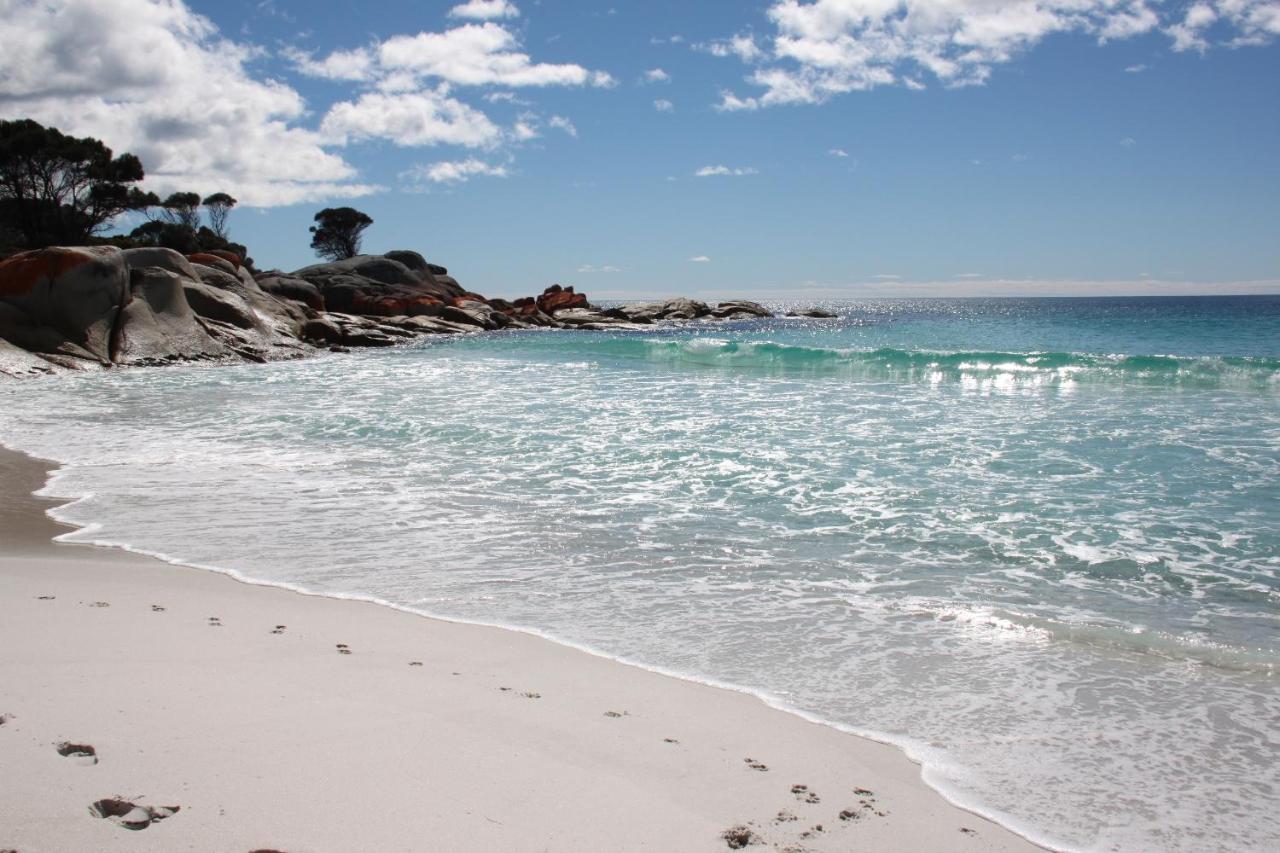Sea Eagle Cottage Amazing Views Of Bay Of Fires Binalong Bay Exteriér fotografie